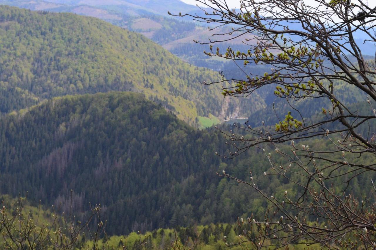 Penzion Thamasy Spišské Tomášovce المظهر الخارجي الصورة