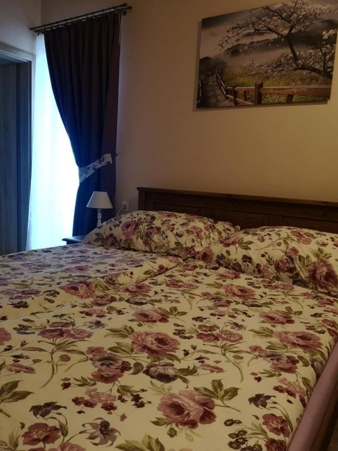 Penzion Thamasy Spišské Tomášovce المظهر الخارجي الصورة