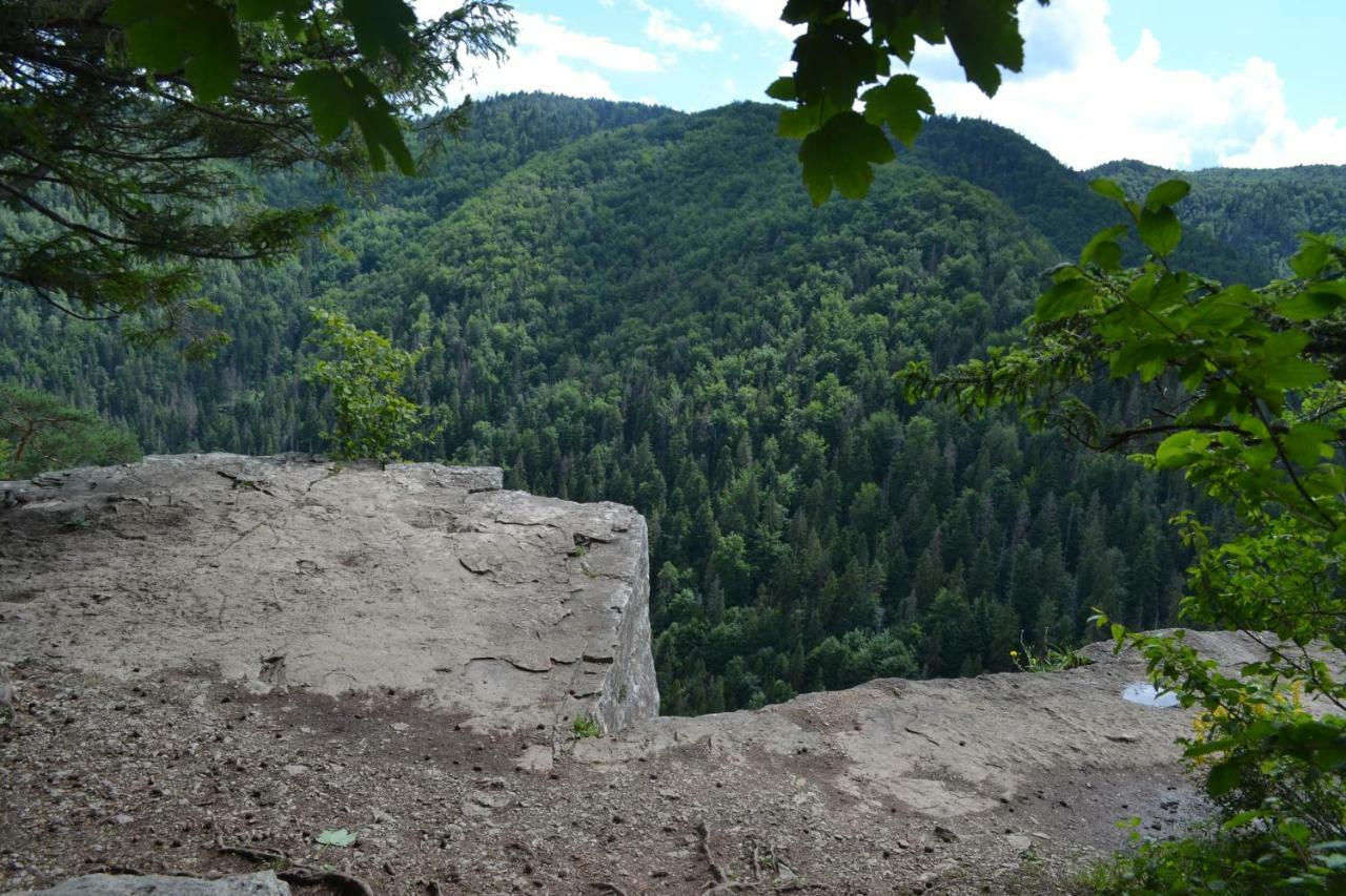 Penzion Thamasy Spišské Tomášovce المظهر الخارجي الصورة