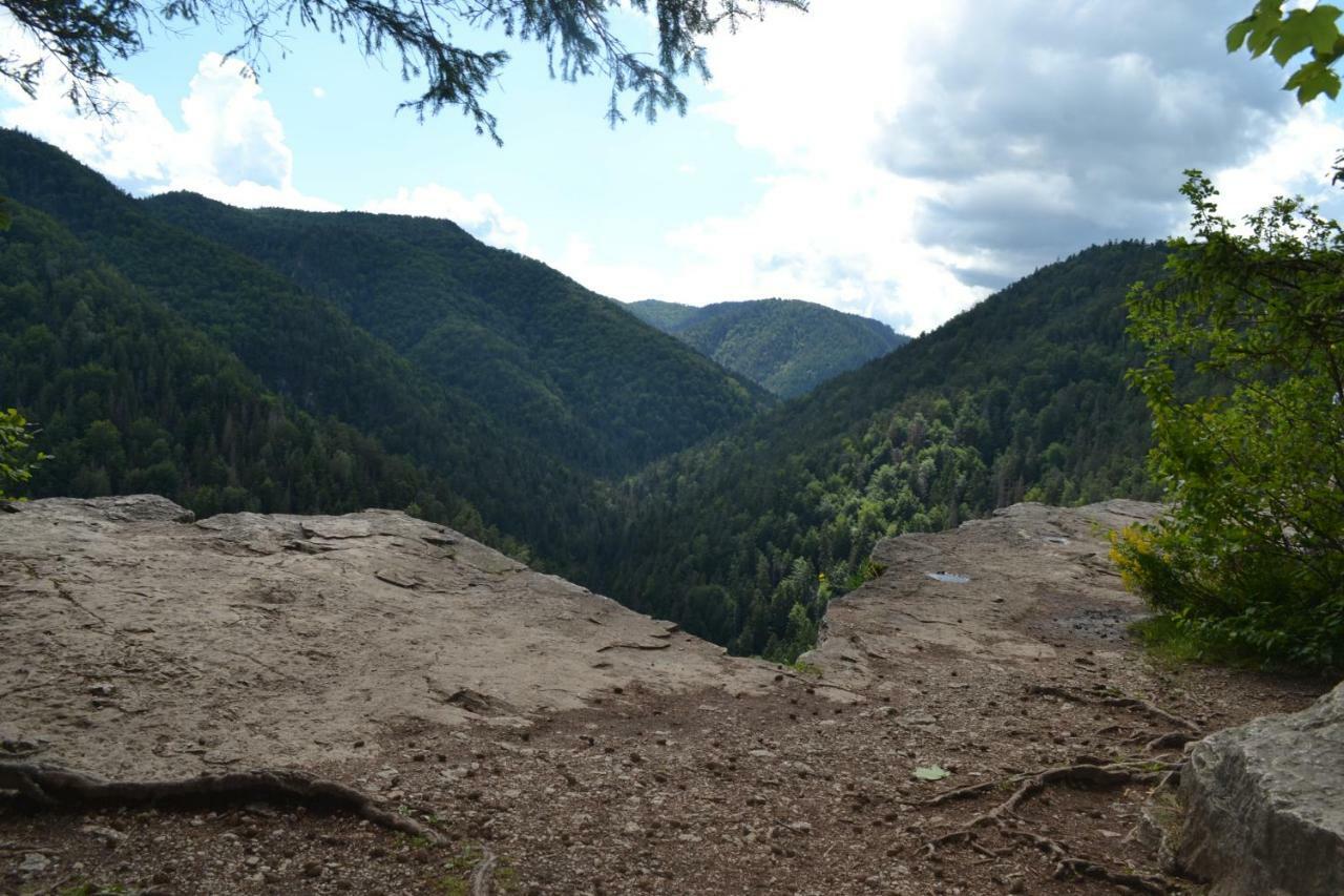 Penzion Thamasy Spišské Tomášovce المظهر الخارجي الصورة